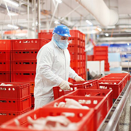 Mitarbeiter in Hygienekleidung sortiert rote Transportkisten im Produktionsbereich von WestCrown.