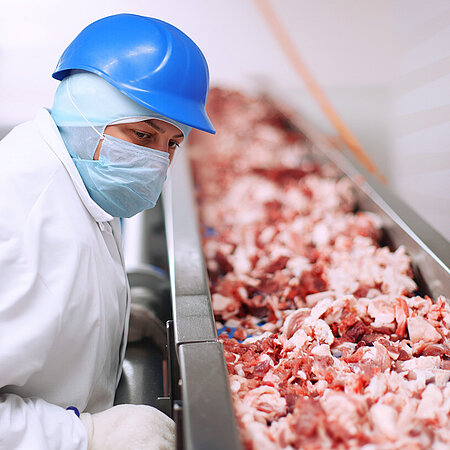 Mitarbeiter in Hygienekleidung kontrolliert Schweinefleischabschnitte auf einem Förderband bei WestCrown.